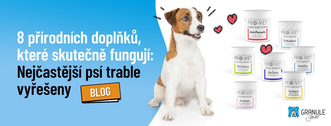web_CZ_1160x441_blog_2025_nejcastejsi_psi_trable_vyreseny_V2[1]